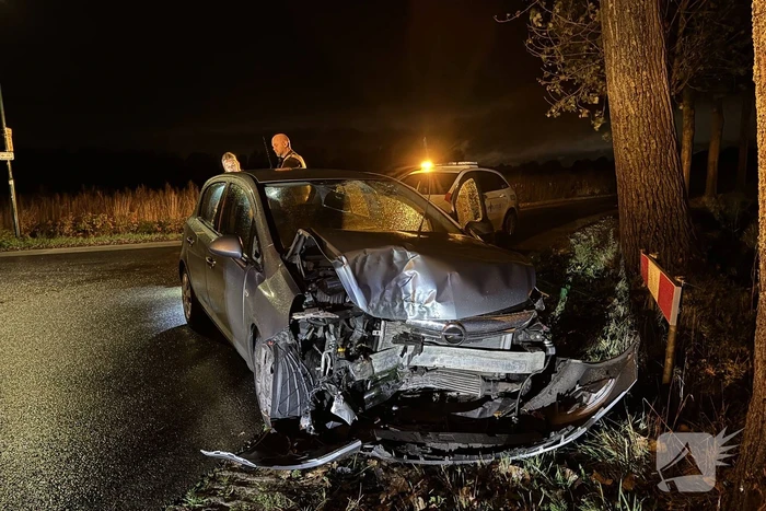 Automobilist botst tegen boom en raakt gewond