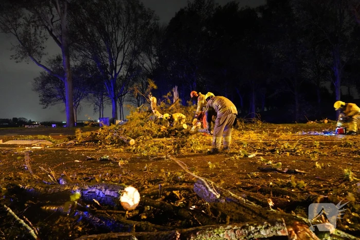natuur de hout - n506 l 28,8 westwoud