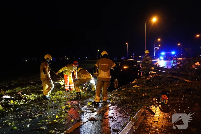 Boom valt op auto