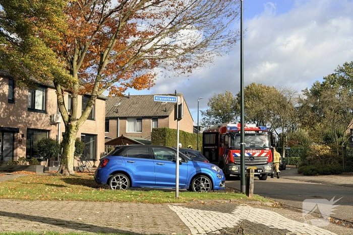 nieuws ypelaar veghel