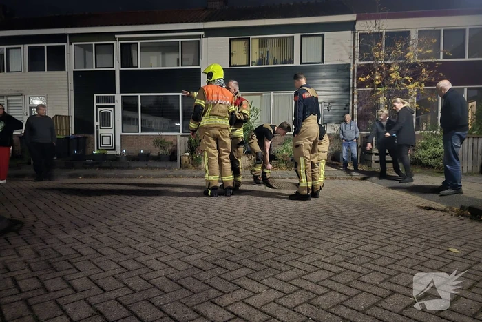 milieu reigerplein spijkenisse