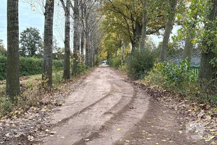 Jongeman speelt met auto en belandt in sloot