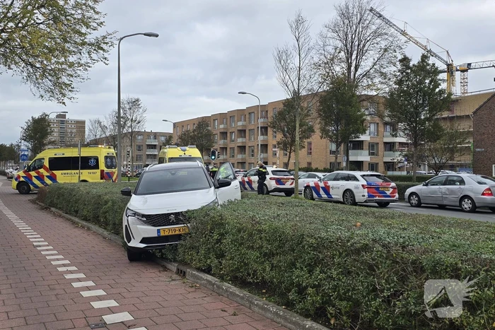 Auto belandt in bosschages