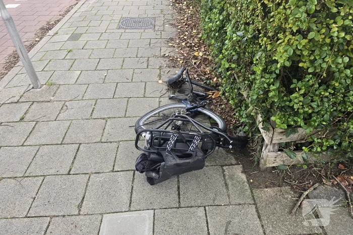 Auto belandt in bosschages