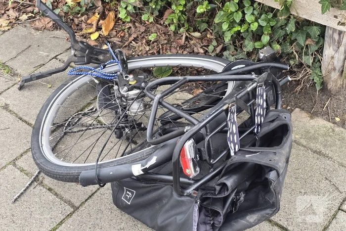 Auto belandt in bosschages
