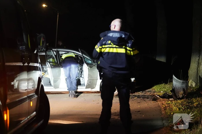 Auto botst tegen boom, bestuurder gewond