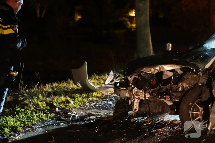 Auto botst tegen boom, bestuurder gewond