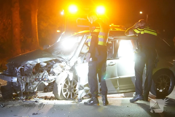 Auto botst tegen boom, bestuurder gewond