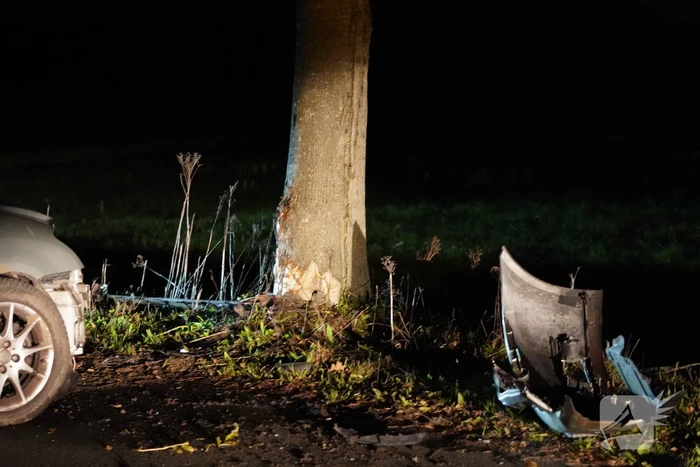 Auto botst tegen boom, bestuurder gewond