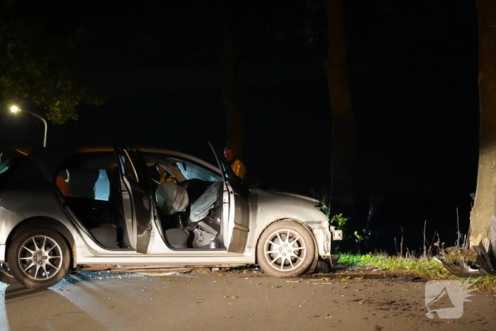 Auto botst tegen boom, bestuurder gewond