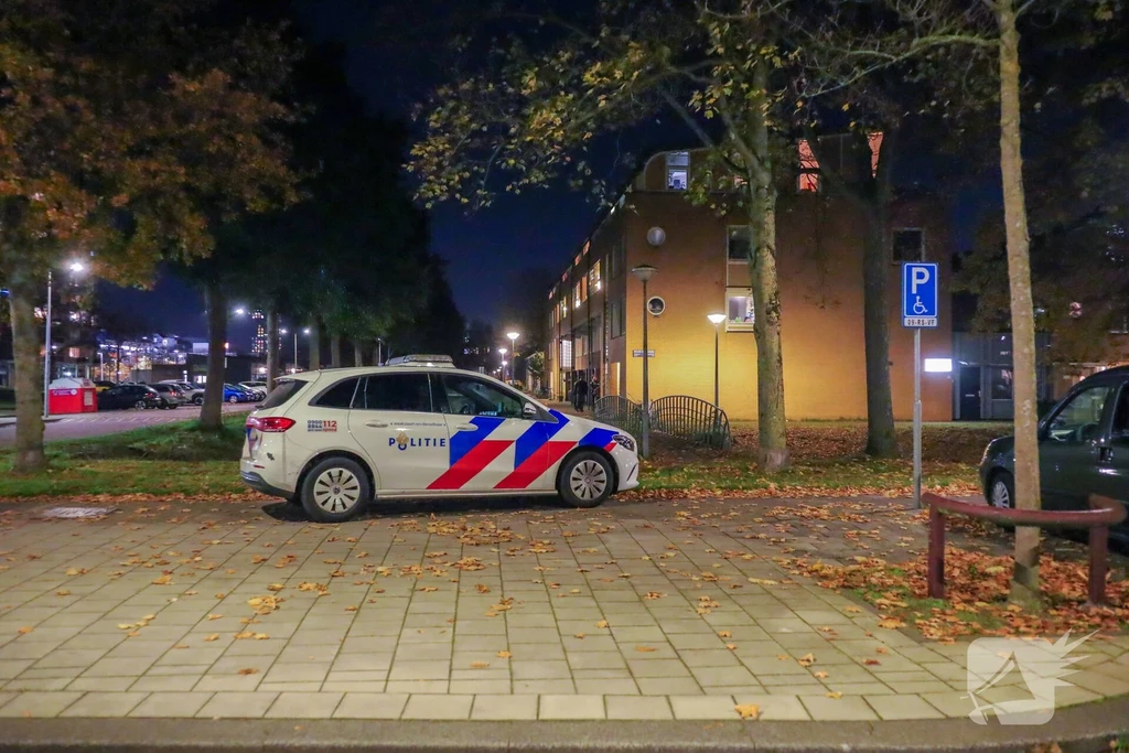 Sonja Heniepad Nieuws Amsterdam 