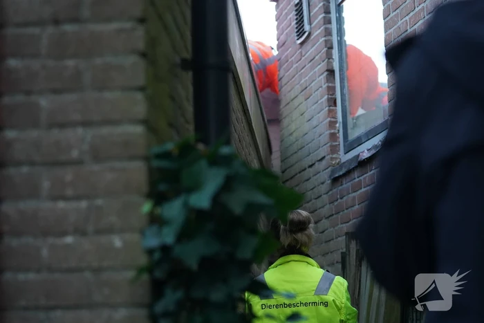 nieuws vaart n.z. assen