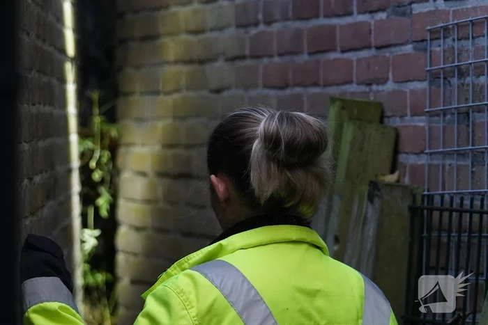 Brandweer in actie voor beknelde kat