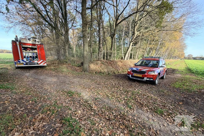 Brand verwoest bosgebied