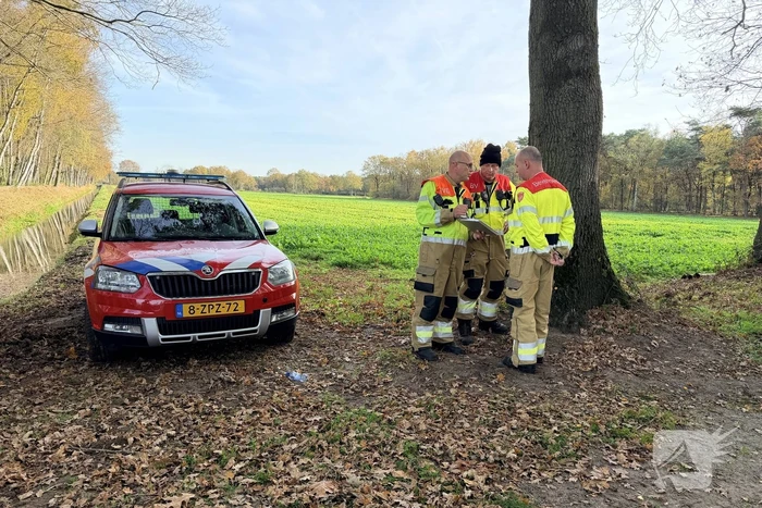 Brand verwoest bosgebied
