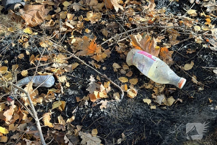 Brand verwoest bosgebied