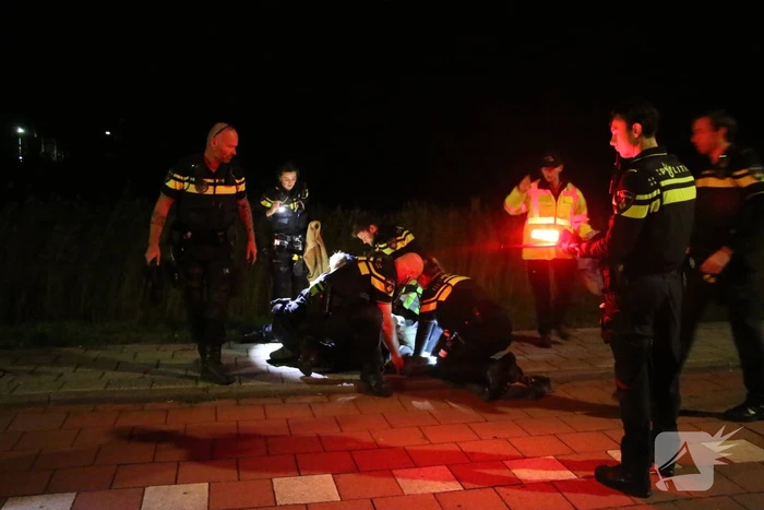 Ontsnapte emoe houdt politie bezig