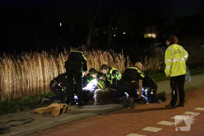 Ontsnapte emoe houdt politie bezig