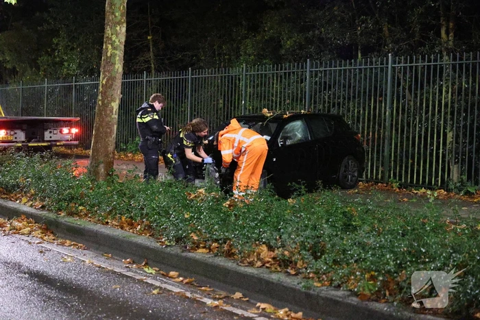 Auto botst tegen boom na uit de bocht vliegen