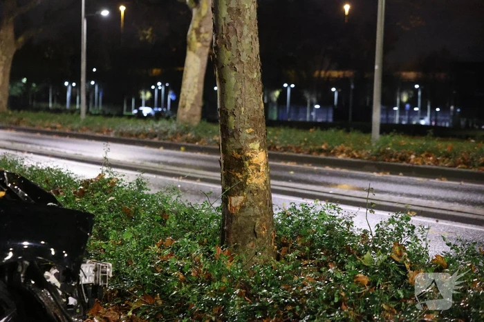 Auto botst tegen boom na uit de bocht vliegen