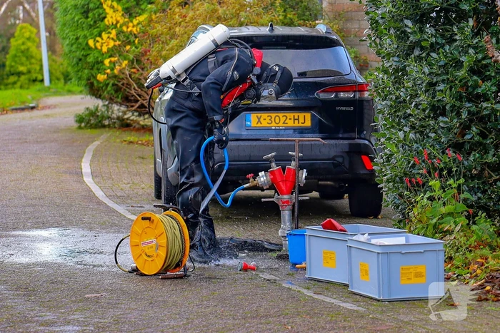 Brandweer redt zwaan met vermoedelijke vogelgriep