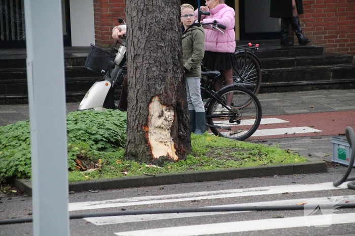 Auto kantelt na aanrijding met boom