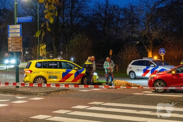 ongeval nico bergsteijnweg woudenberg
