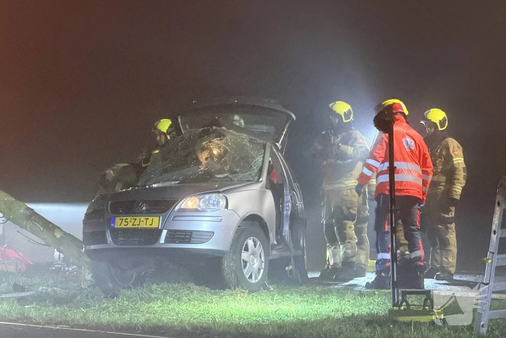 Steeg 112 nieuws Schijndel 