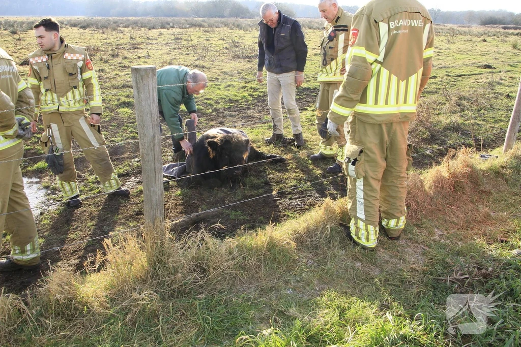 Wijffelterbroekdijk 112 melding Weert 