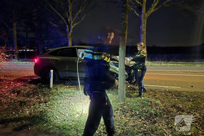Inhaalactie eindigt in botsing met boom