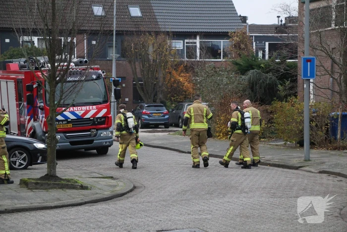 milieu bosbes rotterdam