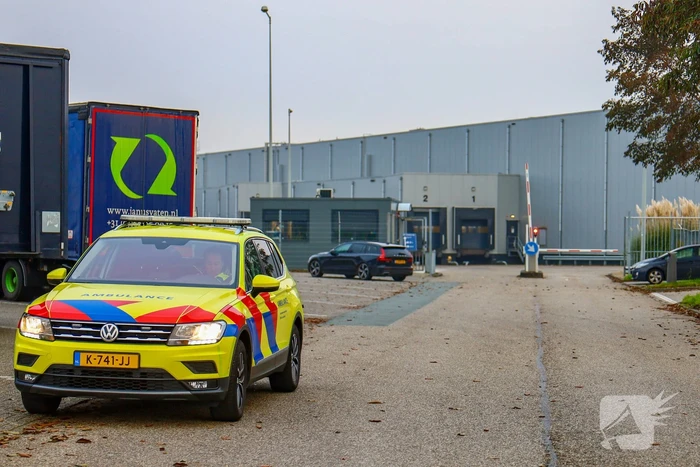 Steekincident in haven leidt tot gewonde