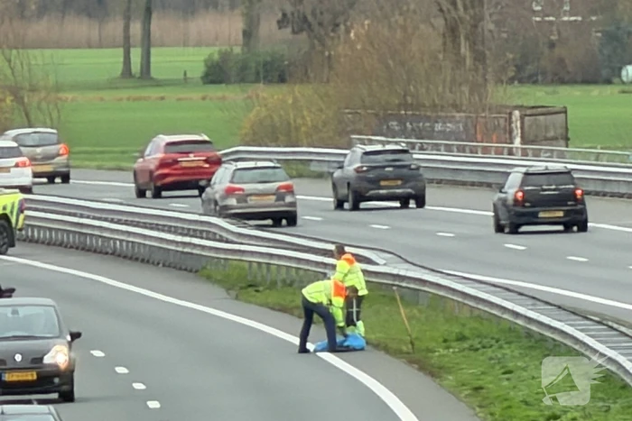 Hond overleden na aanrijding met auto