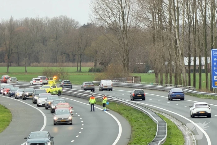 Hond overleden na aanrijding met auto