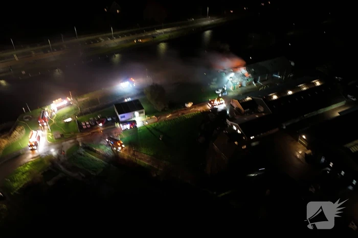 Paarden gered na brand in loods