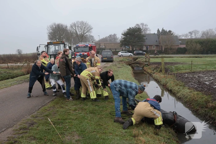 Paard valt in sloot tijdens oefening