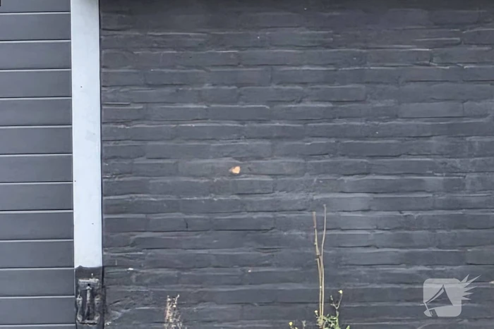 Politie onderzoekt schietpartij