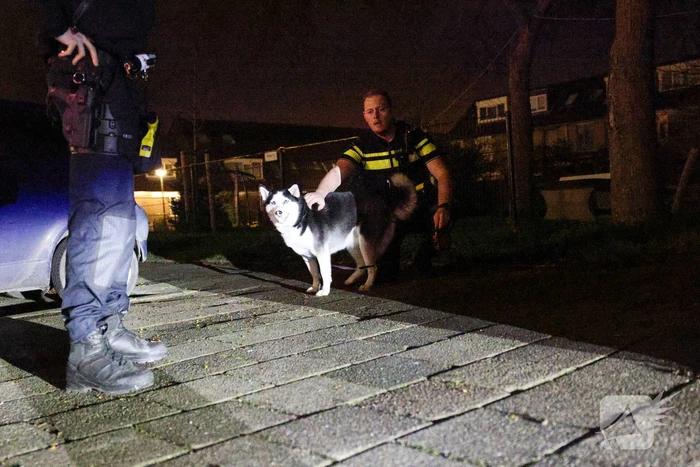 Explosie leidt tot woningbrand en ontruiming van twaalf woningen