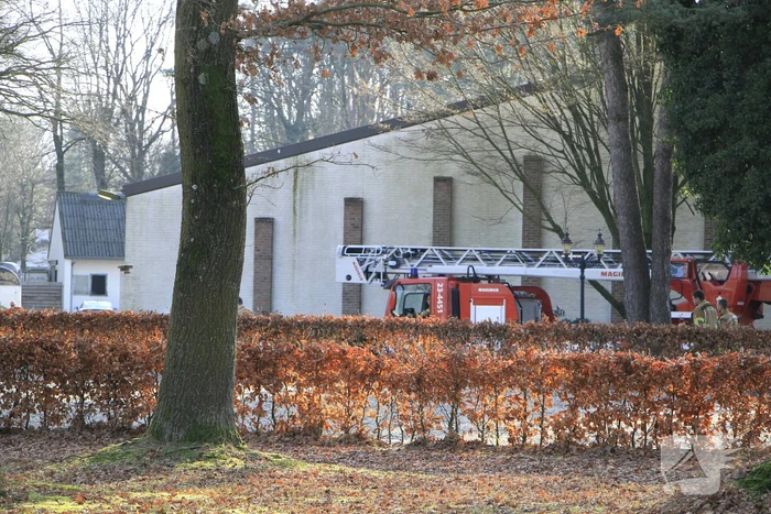 Brandweer redt kat uit boom