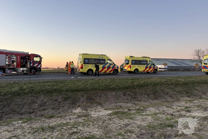 Verkeersongeval door loslopende hond op snelweg