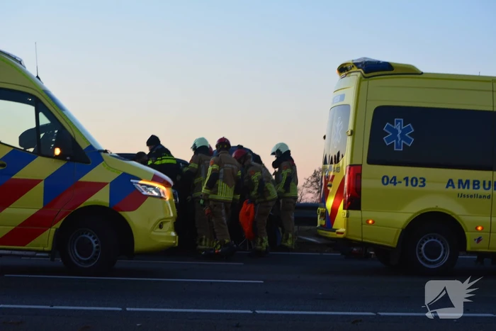 Verkeersongeval door loslopende hond op snelweg