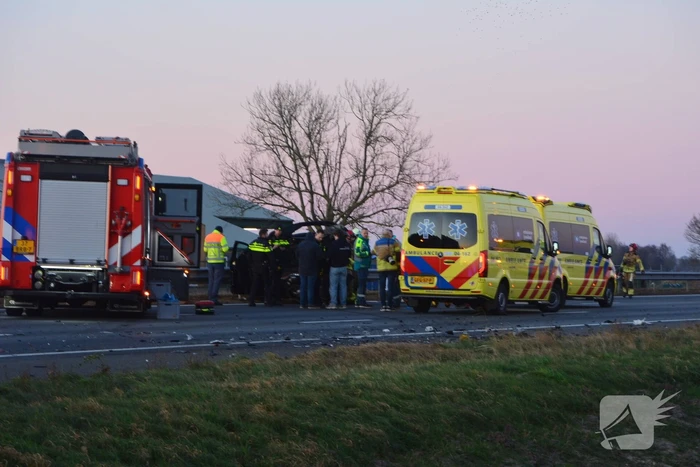 Verkeersongeval door loslopende hond op snelweg