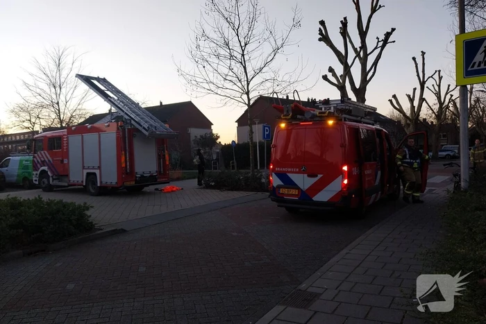 Eend vast op ijs krijgt hulp