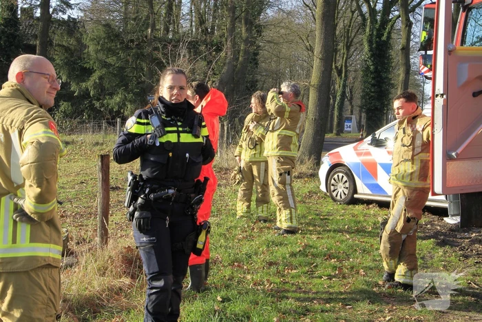 Stier onderkoeld uit ijs gehaald door brandweerlieden