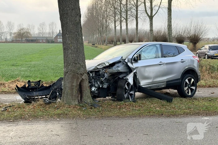 Bestuurder gewond na aanrijding met boom