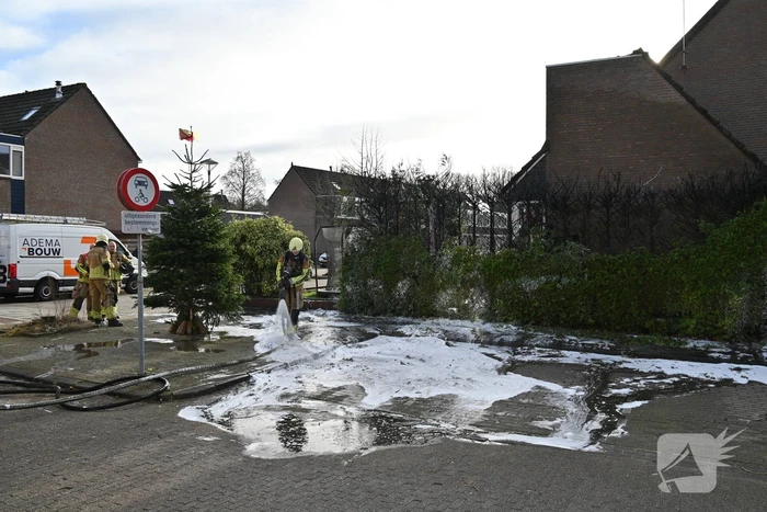 Coniferenhaag in brand