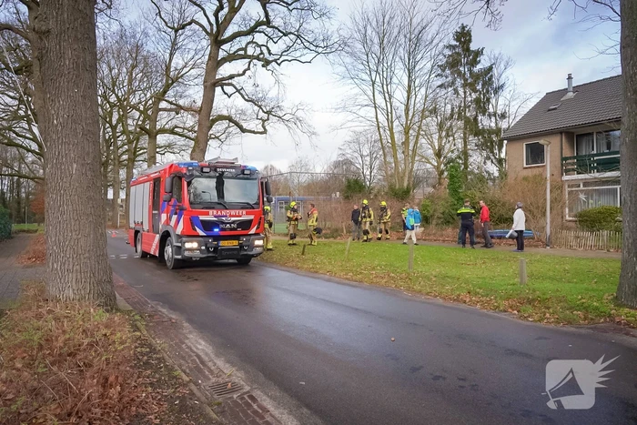 Konijnen in veiligheid na brand bij hok