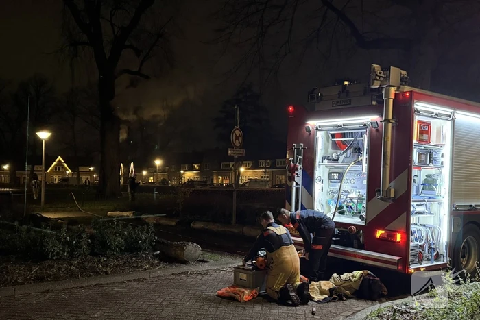 Spookboom in lichterlaaie midden in woonwijk