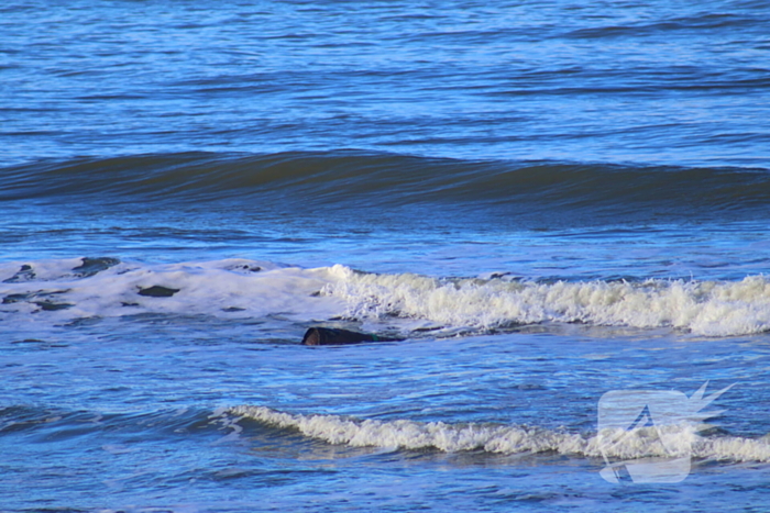 Vat met mogelijk chloorgas aangetroffen op strand