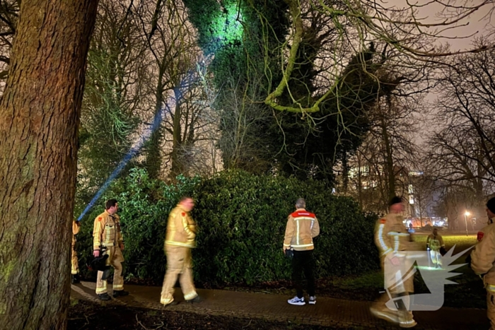 Kat in boom aangetroffen